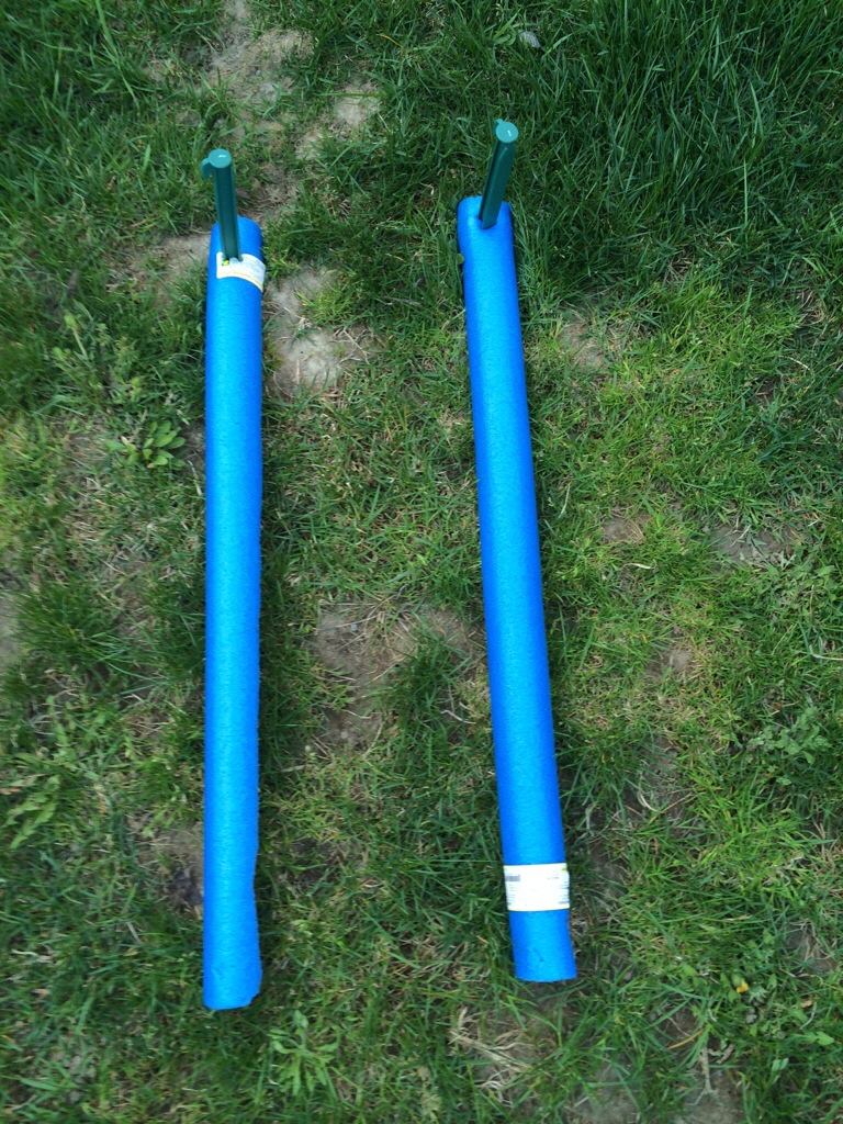 20140511-222014.jpg