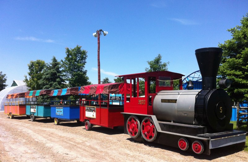 Brooks-Farms-train-ride