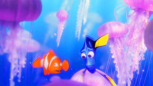 nemo-storm-9