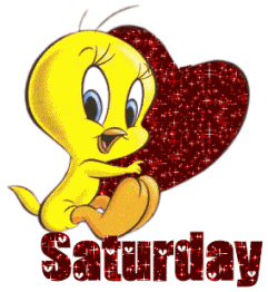 saturday-www.imagedunia.com2_