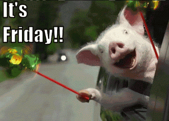 happy-friday-piglet-car-ride