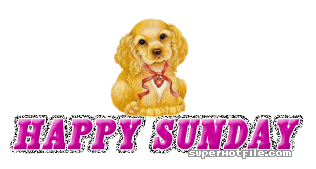happy-sunday-dog