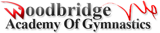 wood-logo4