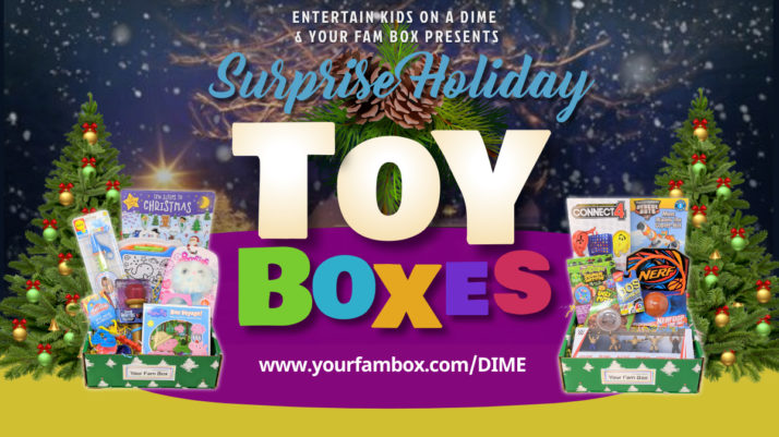 Surprise Holiday Toy Box