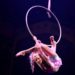 Circus Show Deal