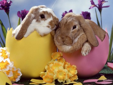 MARCH FREE & CHEAP EVENTS (March 25-28)
