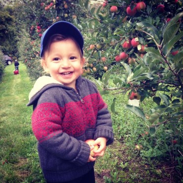 FALL FUN GUIDE
